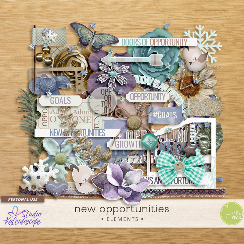 New Opportunities: Kit - Image 3