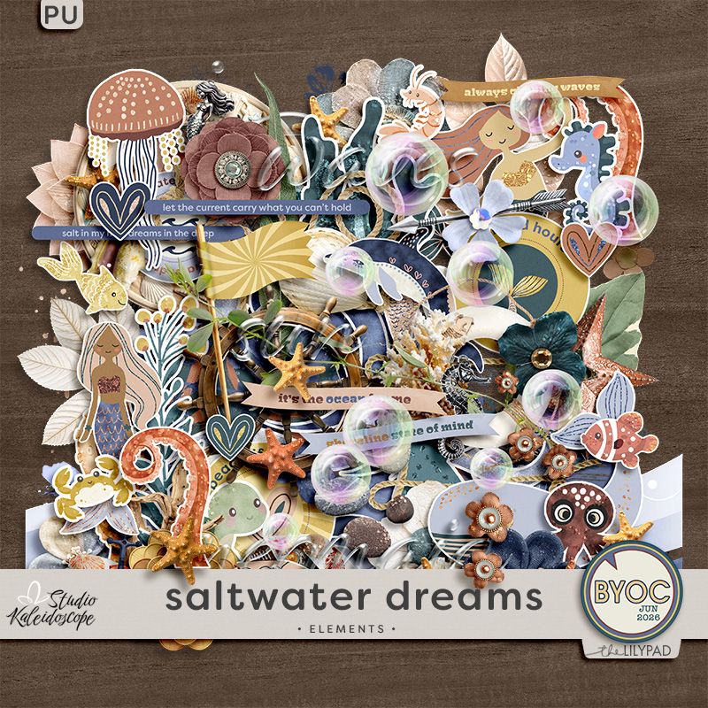 Saltwater Dreams: Elements