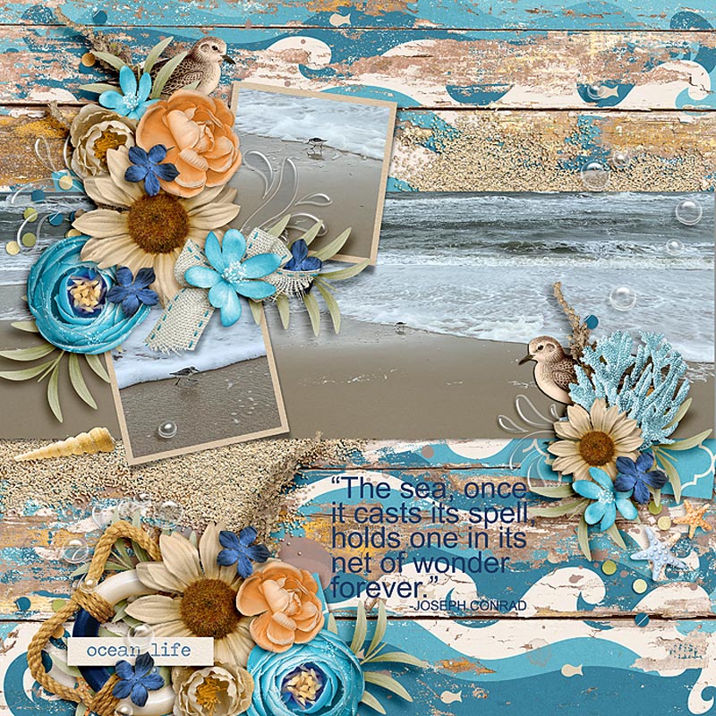 Seas the Summer: Kit - Image 7