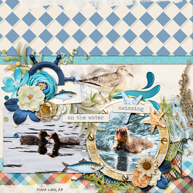 Seas the Summer: Kit - Image 6