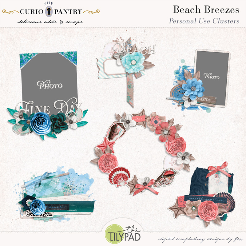 The Curio Pantry Beach Breezes PU Clusters