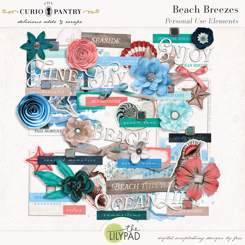 The Curio Pantry Beach Breezes PU Elements