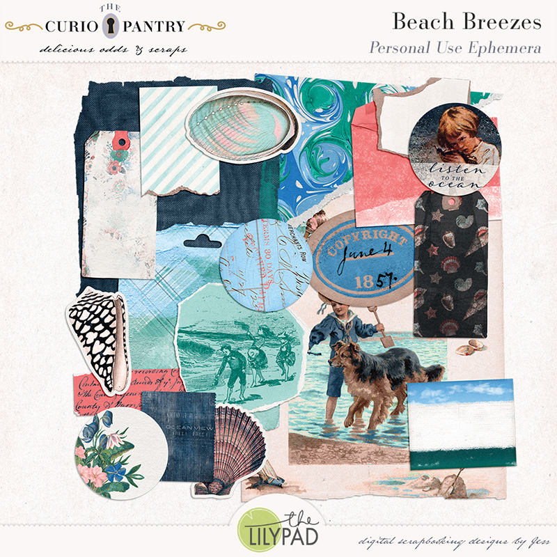 The Curio Pantry Beach Breezes PU Ephemera