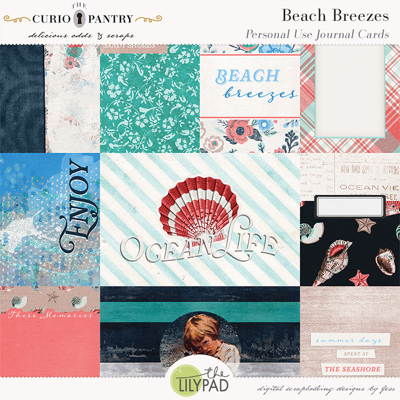 The Curio Pantry Beach Breezes PU Journal Cards