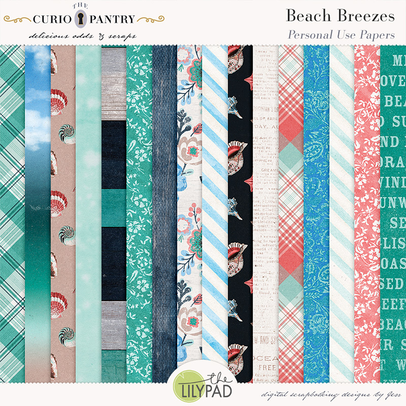 The Curio Pantry Beach Breezes PU Papers