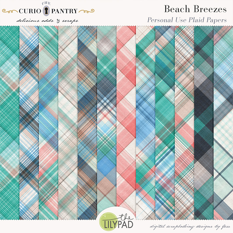 The Curio Pantry Beach Breezes PU Plaid Papers
