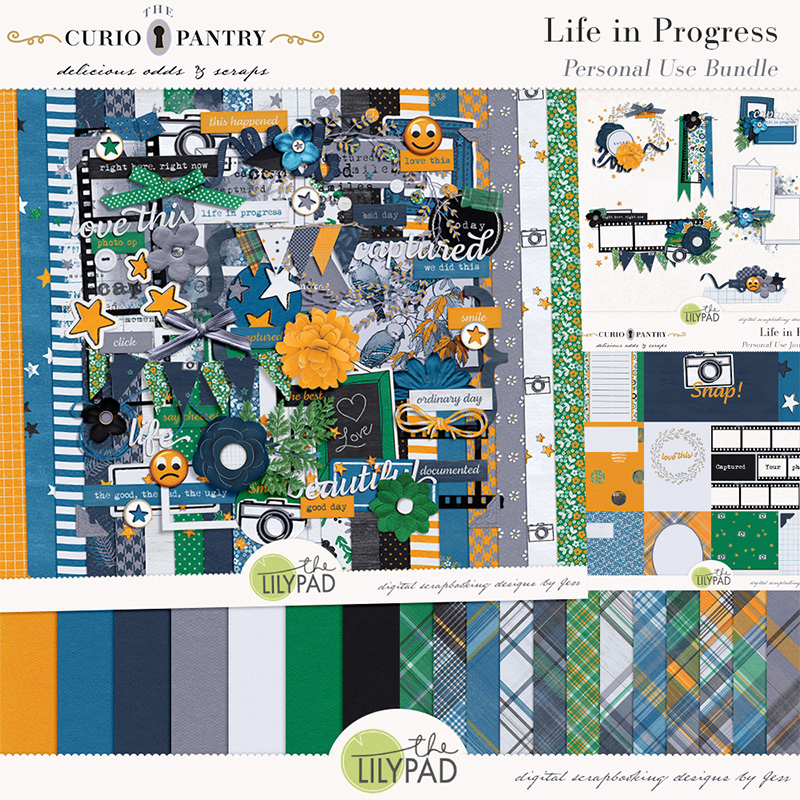 The Curio Pantry Life In Progress PU Bundle