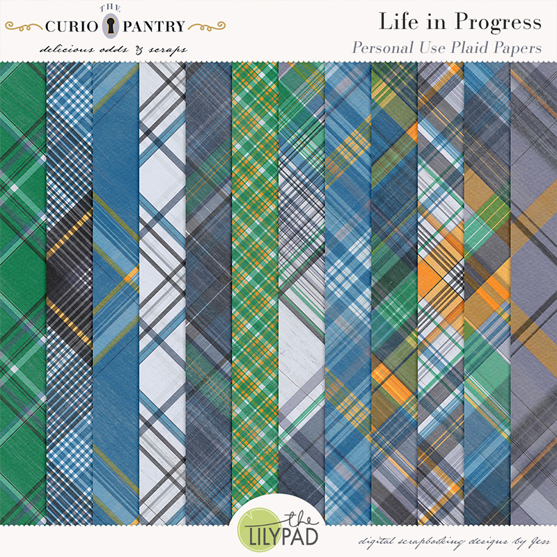 The Curio Pantry Life In Progress PU Plaid Papers