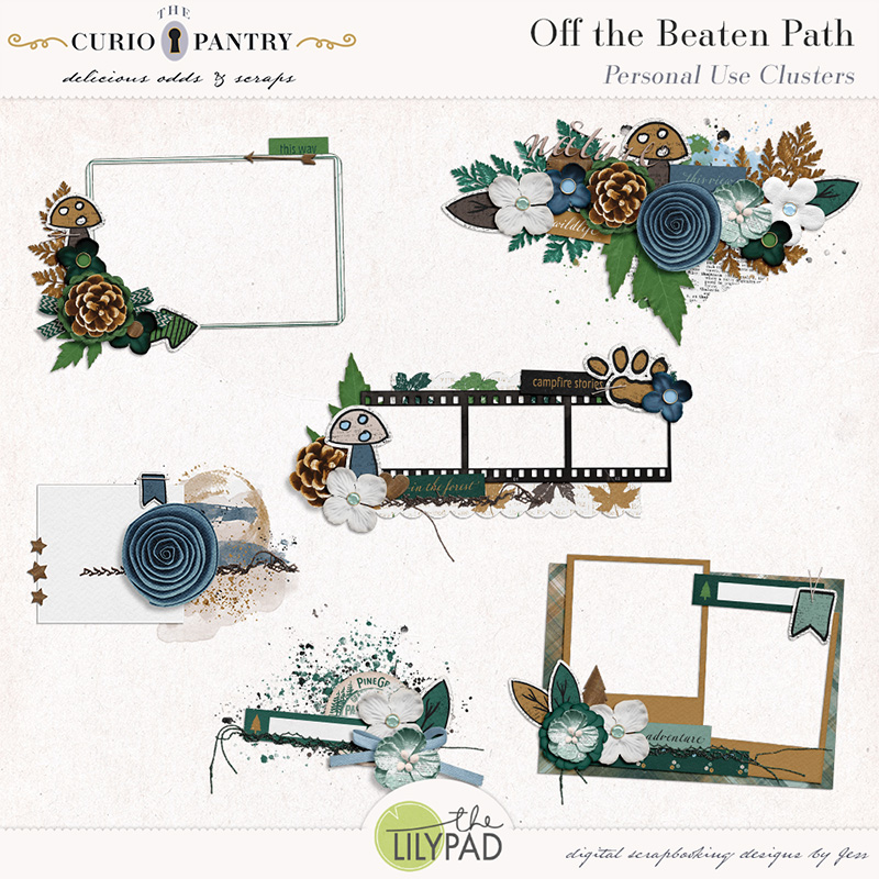 The Curio Pantry Off the Beaten Path PU Clusters