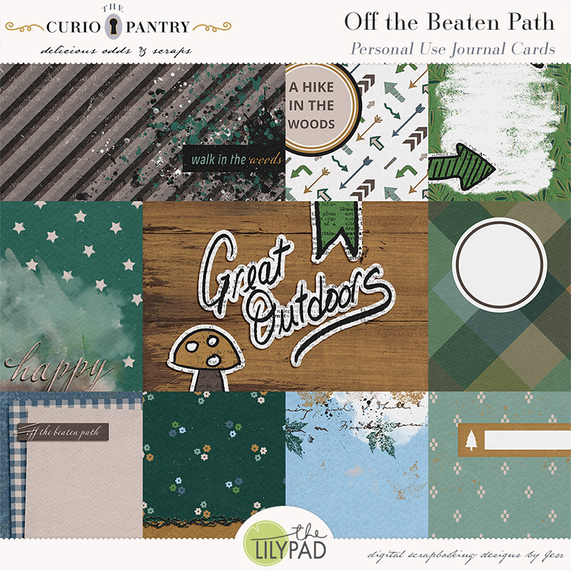 The Curio Pantry Off the Beaten Path PU Journal Cards
