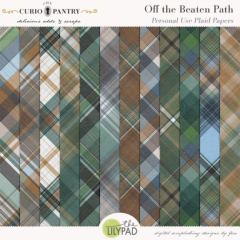 The Curio Pantry Off the Beaten Path PU Plaid Papers
