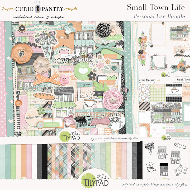 The Curio Pantry Small Town Life PU Bundle