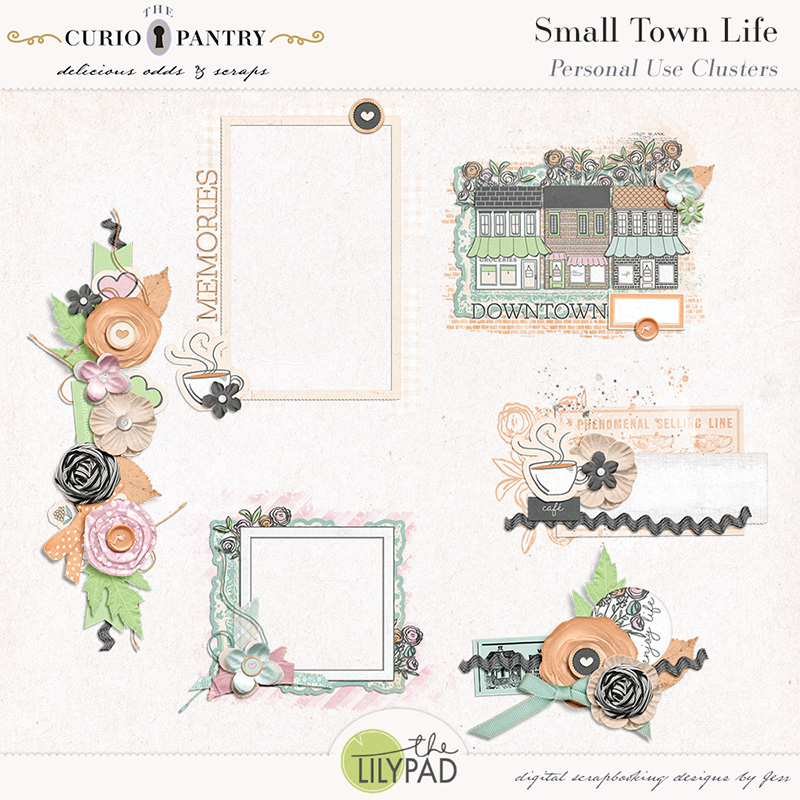 The Curio Pantry Small Town Life PU Clusters