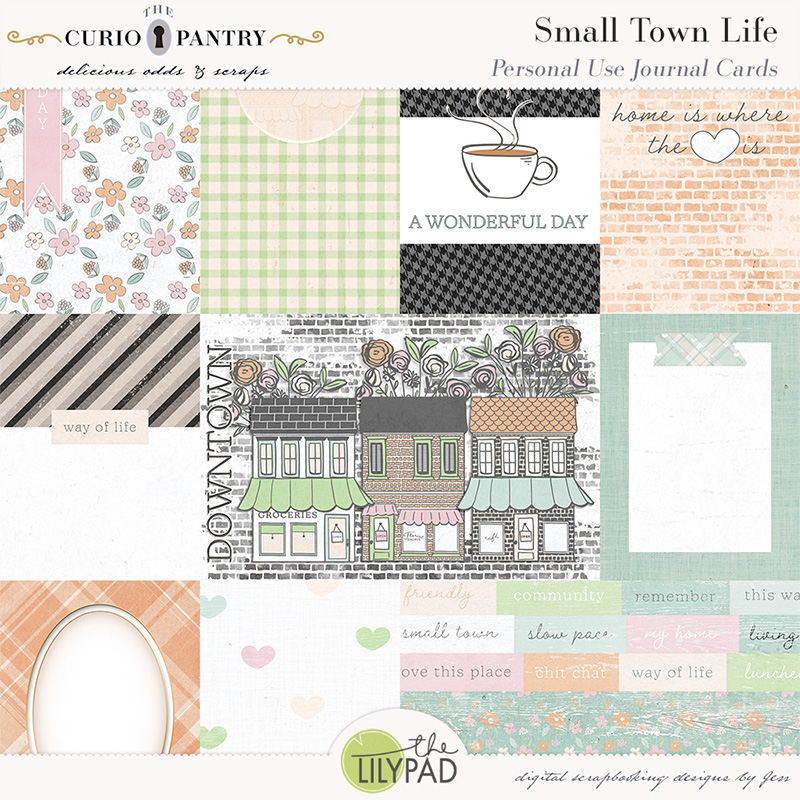 The Curio Pantry Small Town Life PU Journal Cards