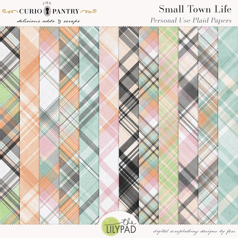 The Curio Pantry Small Town Life PU Plaid Papers