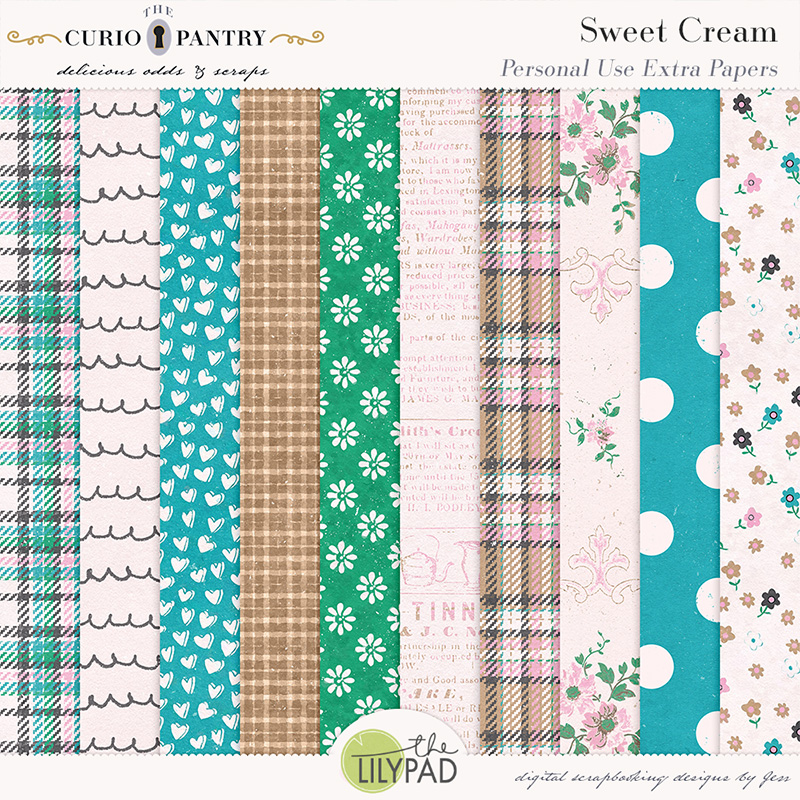 The Curio Pantry Sweet Cream PU Extra Papers