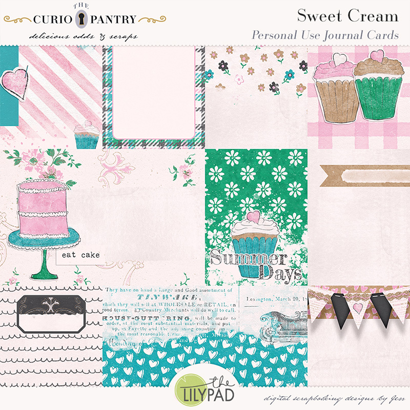 The Curio Pantry Sweet Cream PU Journal Cards