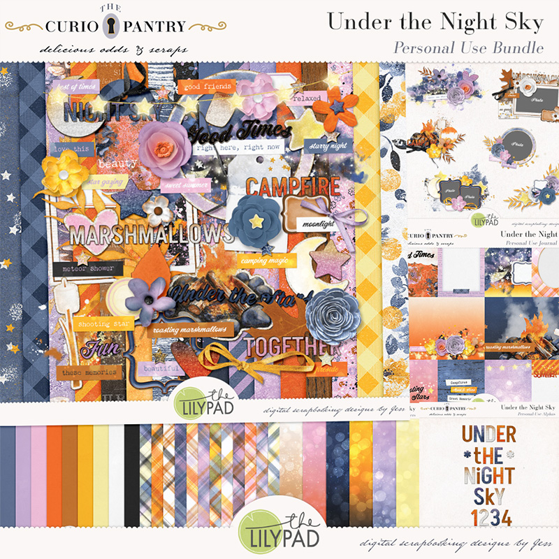 The Curio Pantry Under the Night Sky PU Bundle