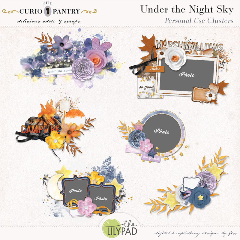 The Curio Pantry Under the Night Sky PU Clusters