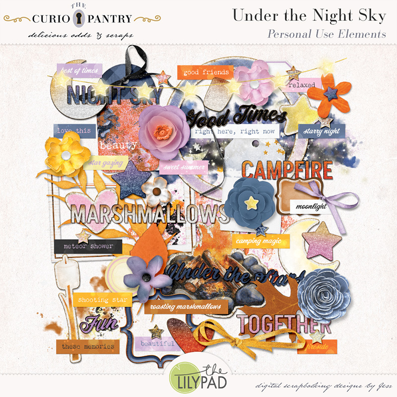 The Curio Pantry Under the Night Sky PU Elements