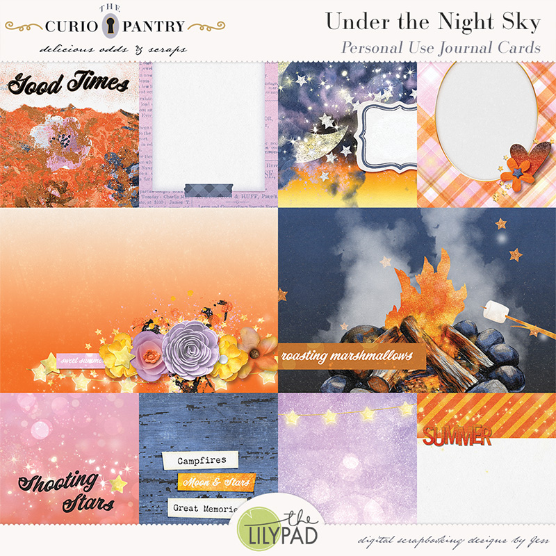The Curio Pantry Under the Night Sky PU Journal Cards