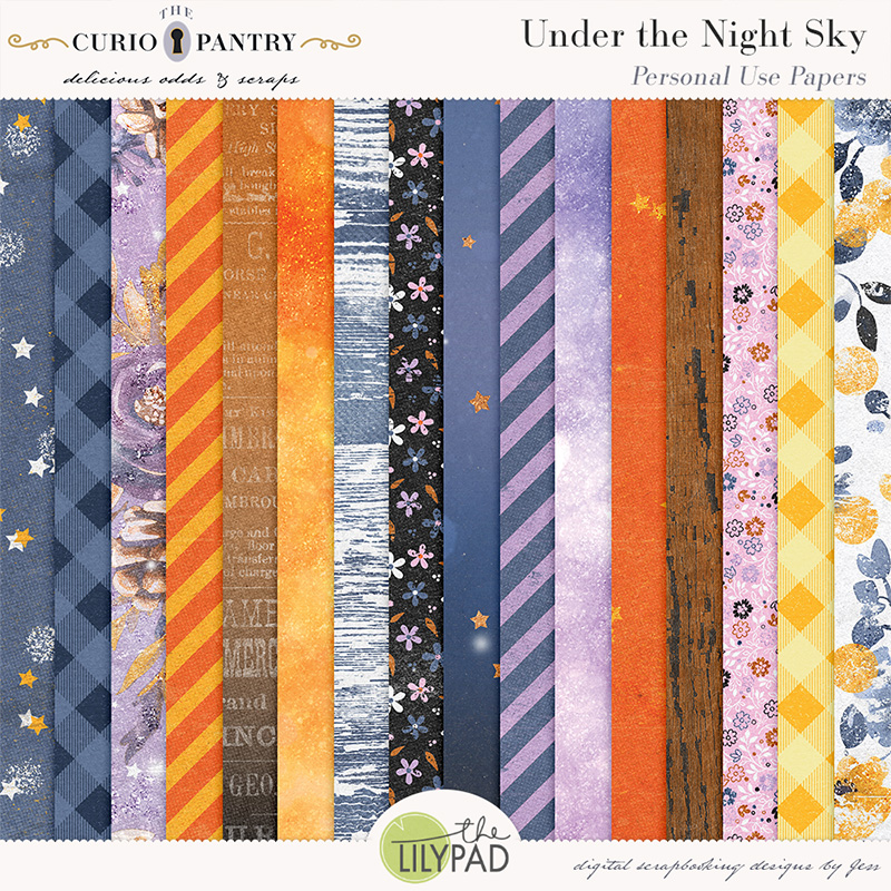The Curio Pantry Under the Night Sky PU Papers
