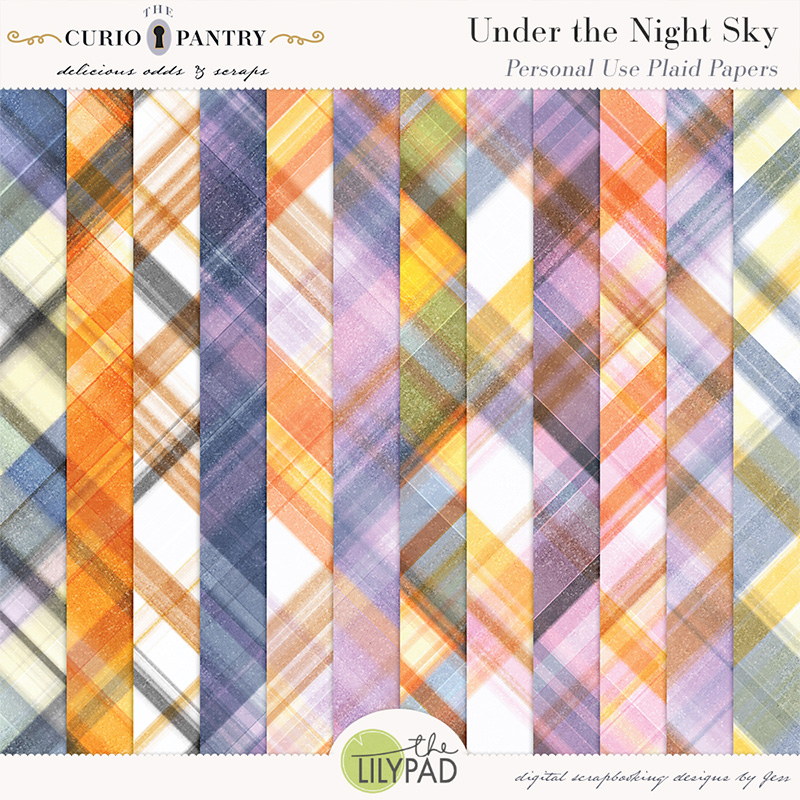 The Curio Pantry Under the Night Sky PU Plaid Papers