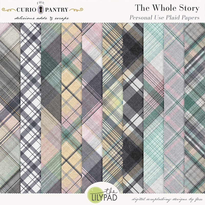 The Curio Pantry The Whole Story PU Plaid Papers