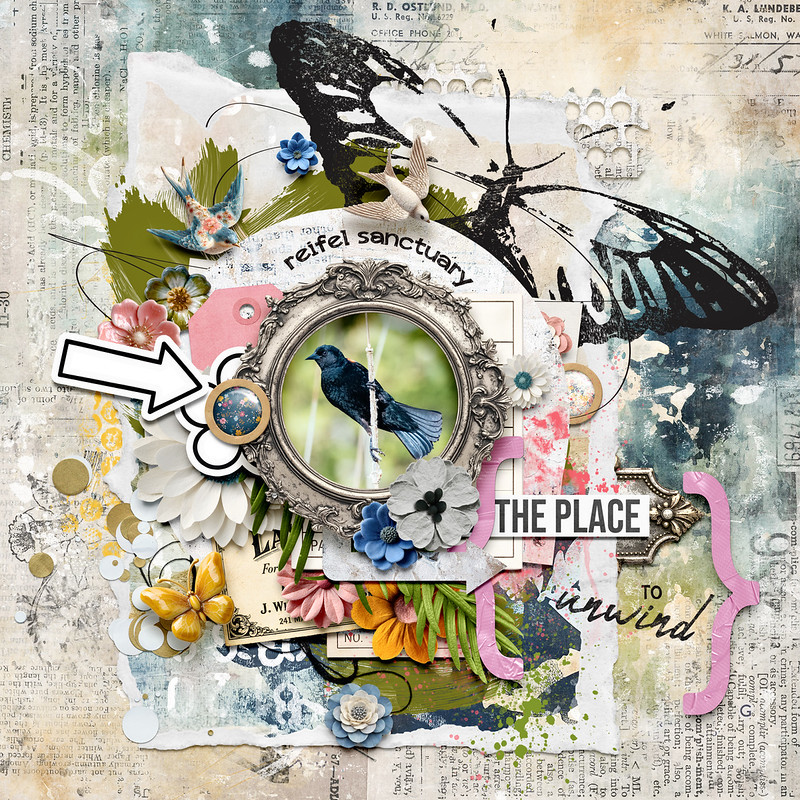 Beautiful Chaos – Bundle - Image 8