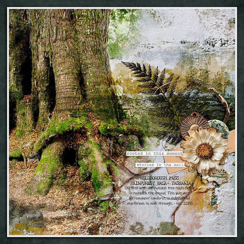 Earth & Ember - Bundle - Image 10