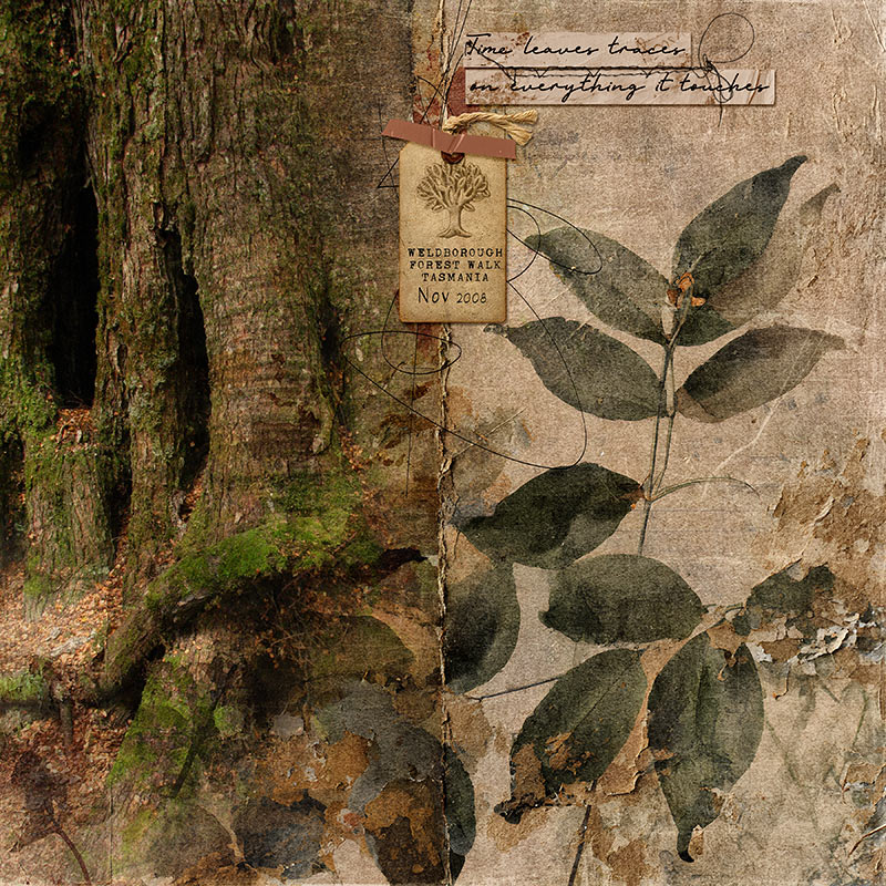 Fallen Echoes - Bundle - Image 15