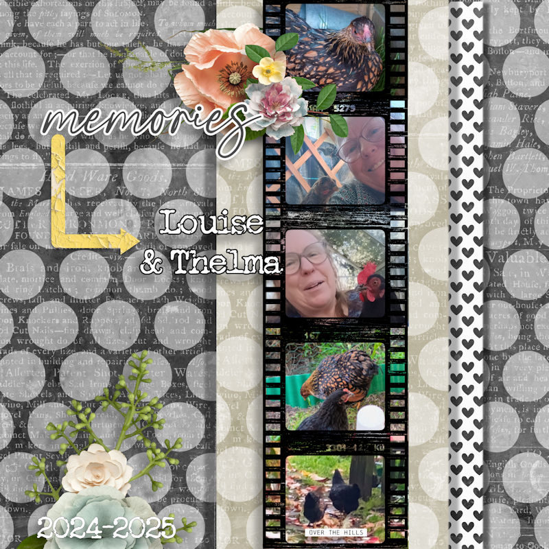 Wanderlight | Bundle - Image 13