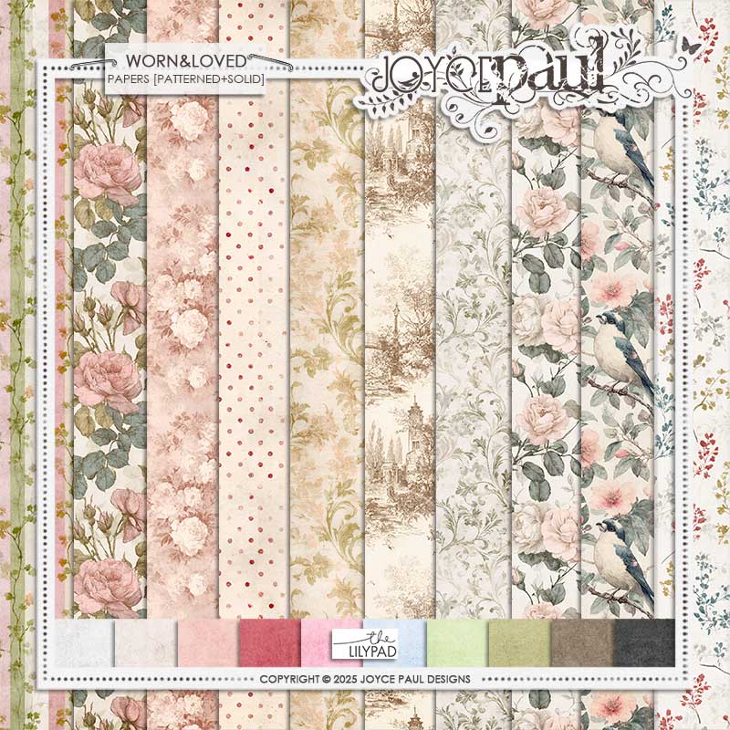 Worn & Loved | Bundle - Image 3