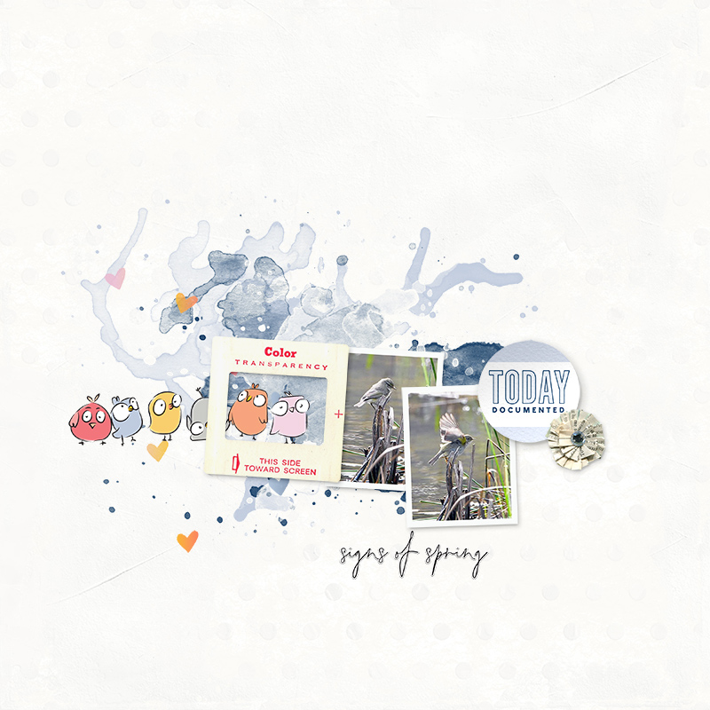 CHIRP | BUNDLE - Image 8