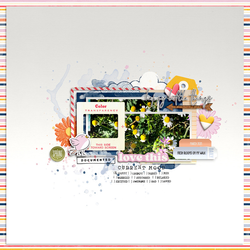 CHIRP | BUNDLE - Image 13