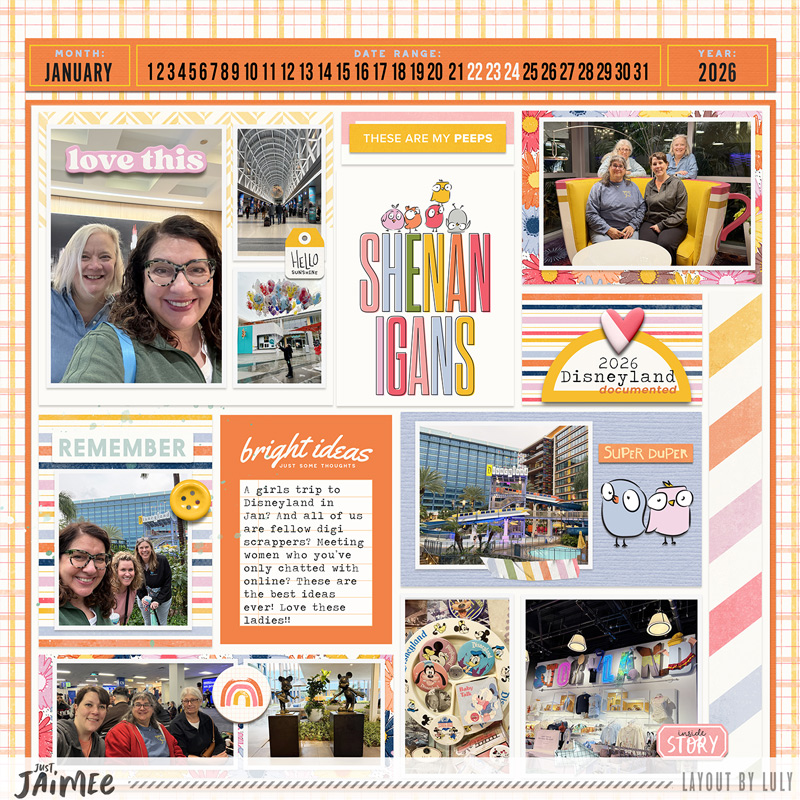 CHIRP | BUNDLE - Image 15
