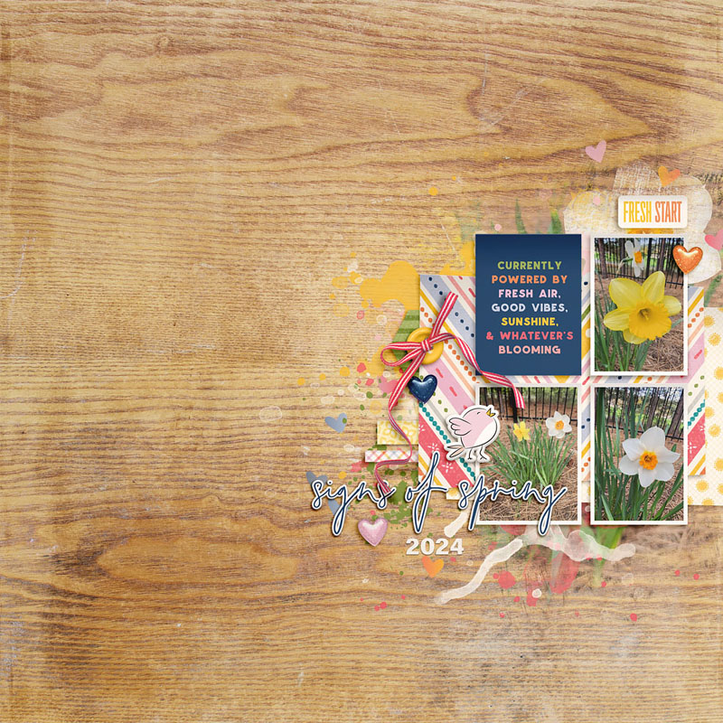 CHIRP | BUNDLE - Image 7