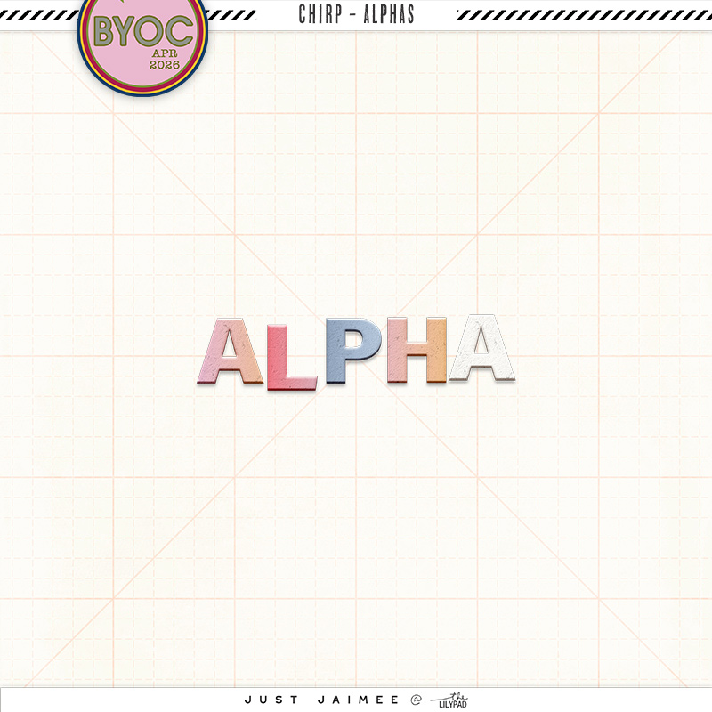CHIRP | BUNDLE - Image 3