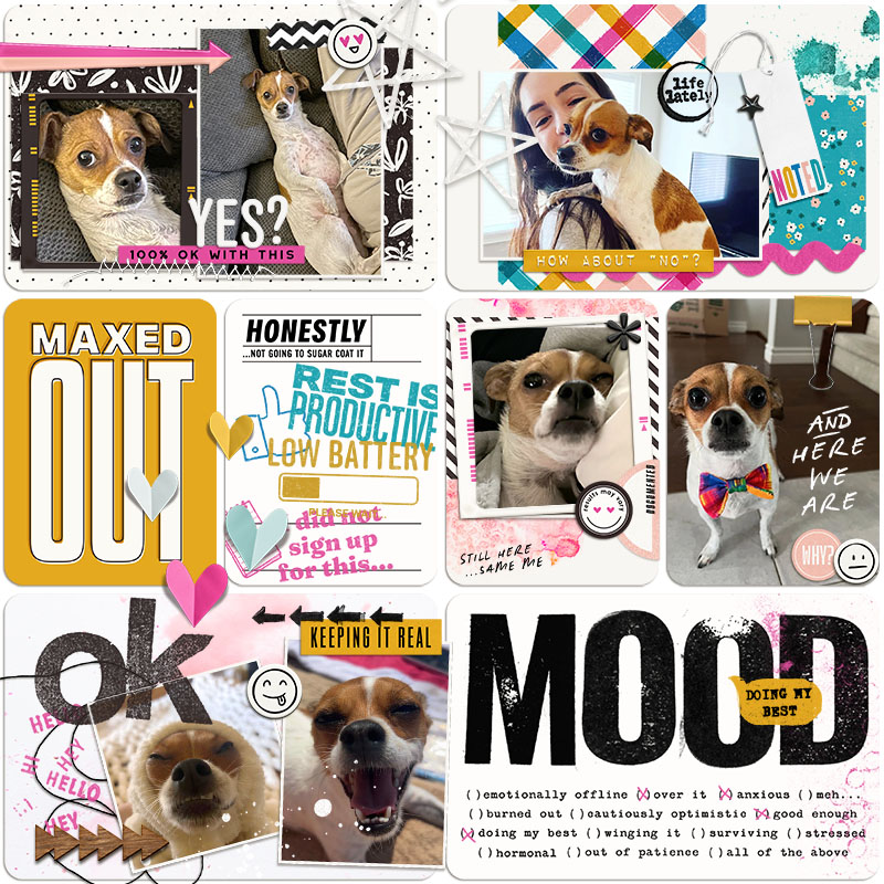 REAL LIFE IN POCKETS: NEW YEAR, SAME ME | BUNDLE - Image 10