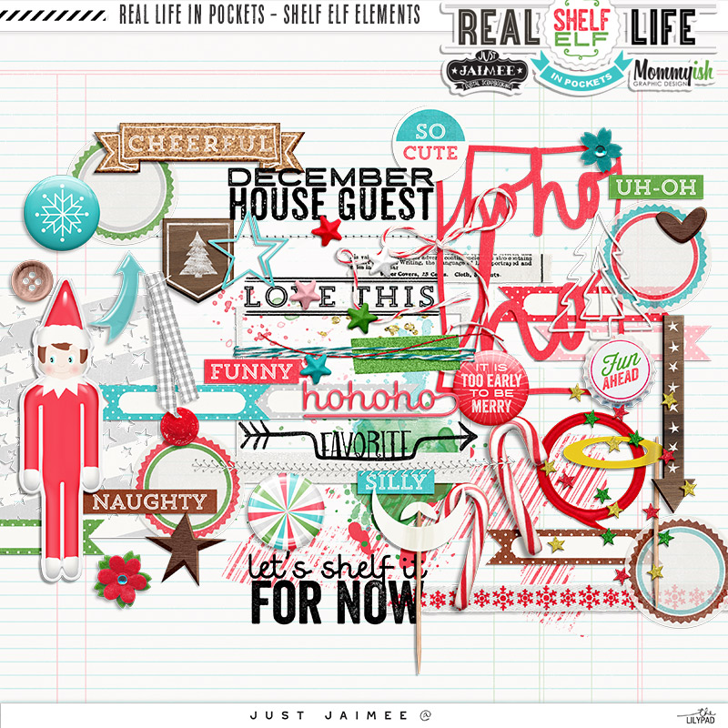 REAL LIFE IN POCKETS – SHELF ELF | KIT - Image 3