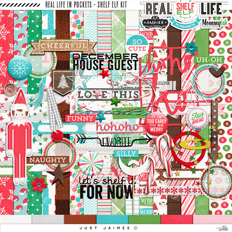 REAL LIFE IN POCKETS – SHELF ELF | KIT
