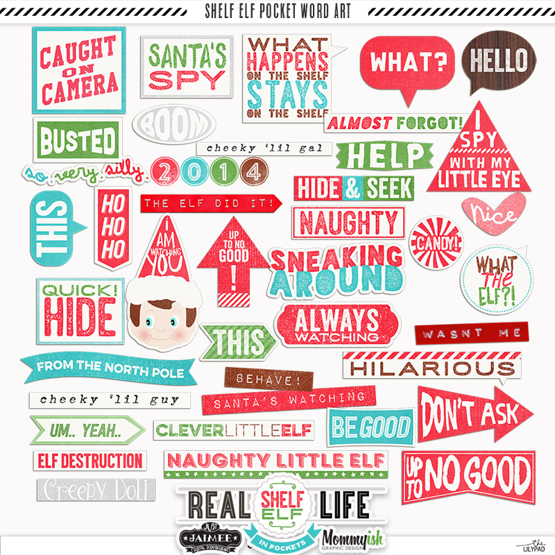 REAL LIFE IN POCKETS – SHELF ELF | WORD ART