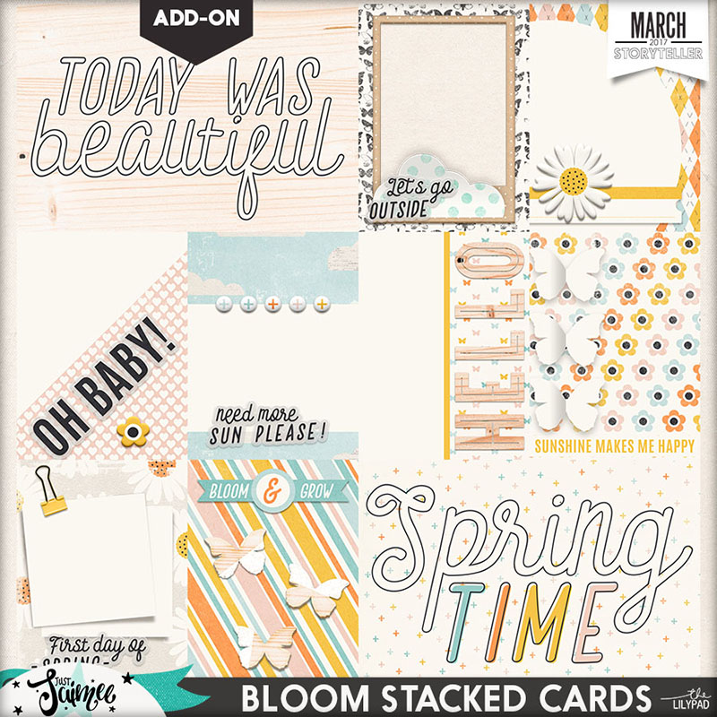 BLOOM | BUNDLE - Image 3