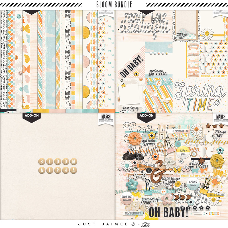 BLOOM | BUNDLE