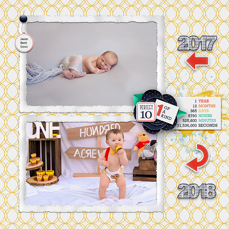 By the Numbers Bundle - Image 16