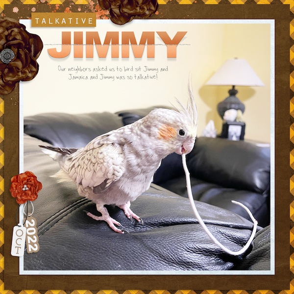 Bloomin' Ruffled - Image 16
