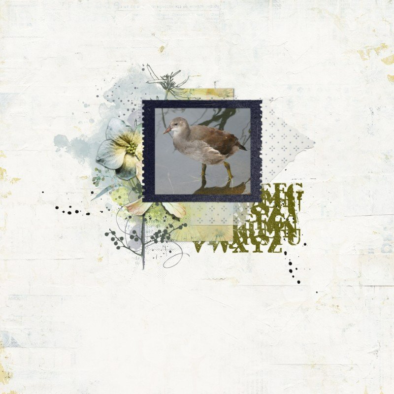 Four Seasons Clusters by Lynn Grieveson - Image 2
