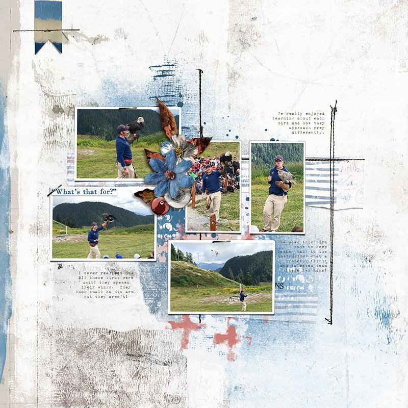 Hear My Voice 36 Wondering Digital Scrapbooking Kit - Image 11
