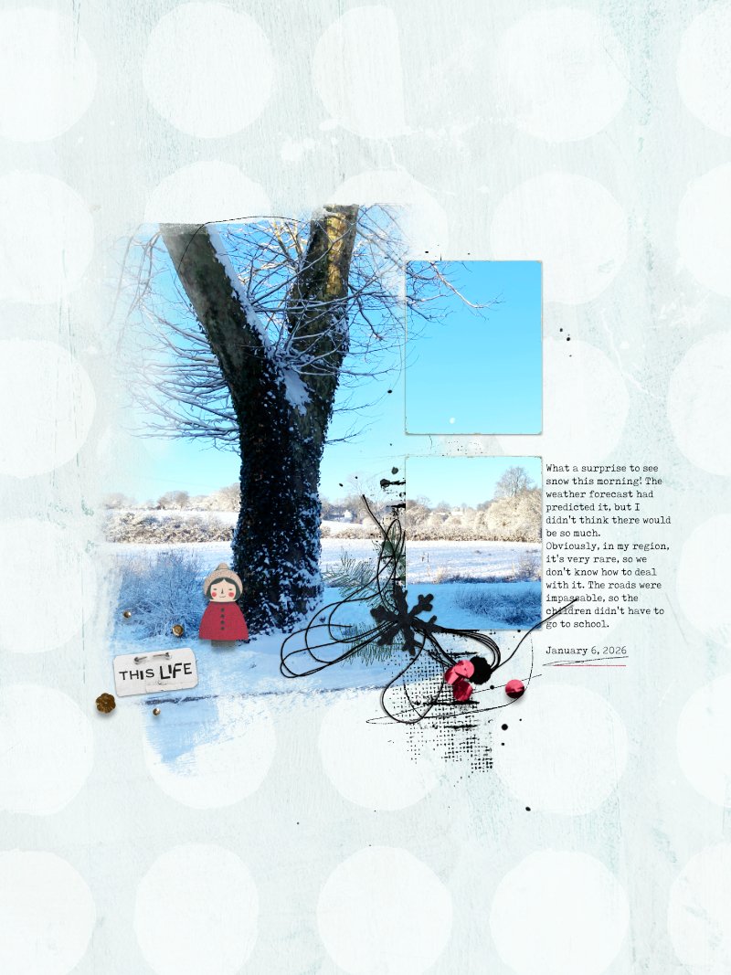 Oh Life Template Set by Digital Scrapbook designer Lynn Grieveson - Image 6