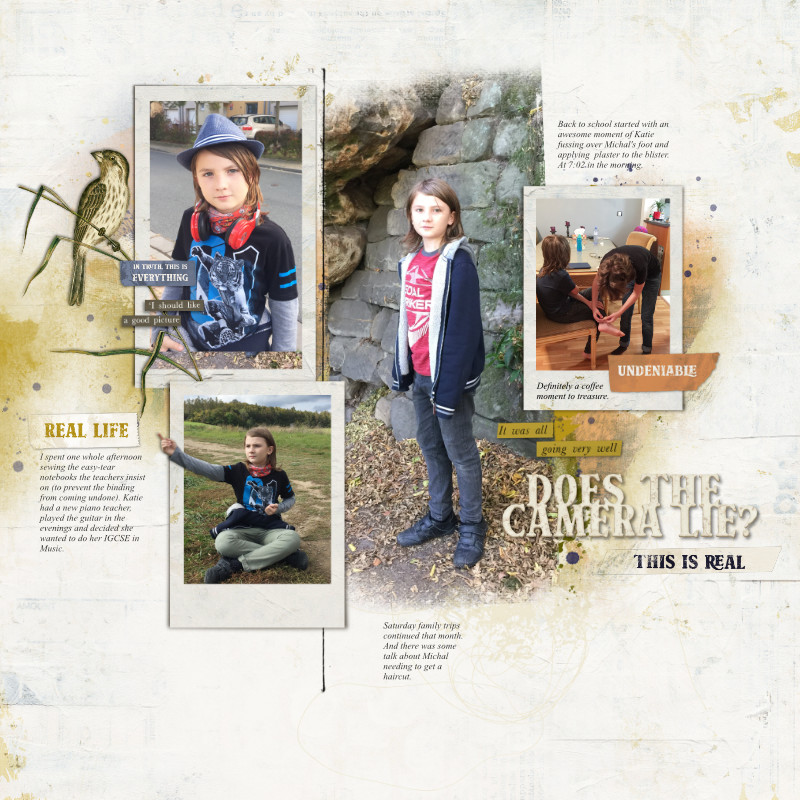 Verity Digital Scrapbooking Kit by Lynn Grieveson - Image 12